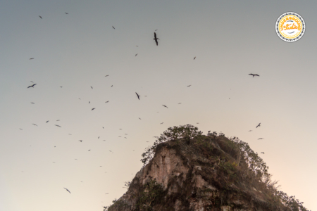 los arcos de mismaloya