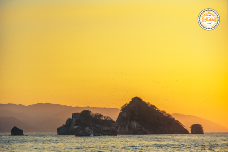 Los arcos puerto vallarta