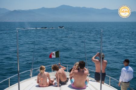 Yatch tour puerto vallarta